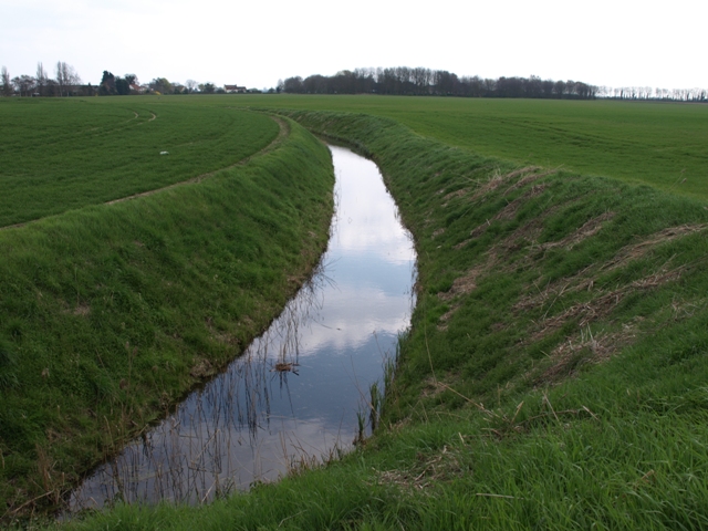 looking south along the Old croft