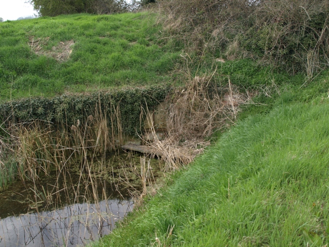 slacker at MLMD bank, 2012,